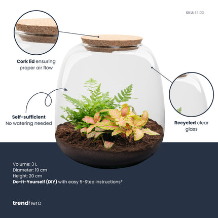 Emma Mini - Fittonia + Farn - Flaschengarten mit Korken - DIY Terrarium mit Pflanzen im Glas - Ø 19 cm ↑ 20 cm