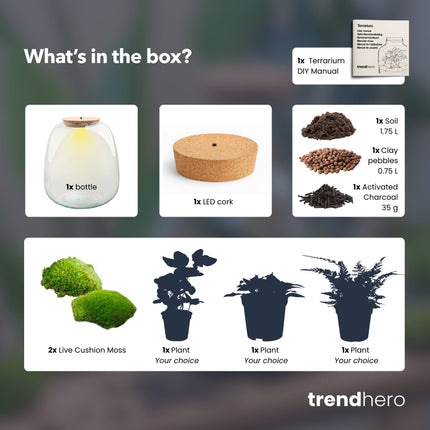 DIY terrarium kit - komplette flaschengarten set