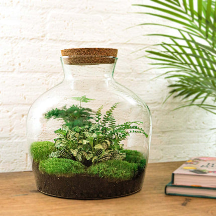 Fat Joe Green - Terrarium avec éclairage - Kit DIY jardin en bouteille - ↑ 30 cm Ø 29 cm