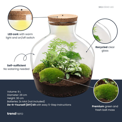 Fat Joe Green - Terrarium avec éclairage - Kit DIY jardin en bouteille - ↑ 30 cm Ø 29 cm