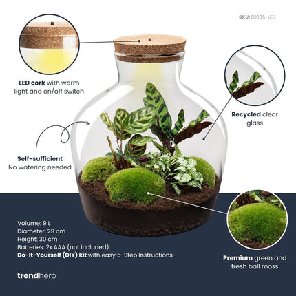 Fat Joe - Terrarium lumineux - Kit DIY - ↑ 30 cm Ø 29 cm
