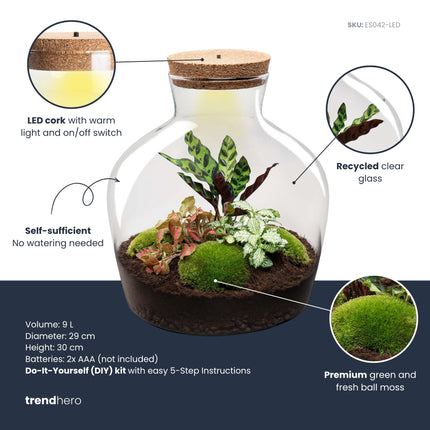 Fat Joe Red - Terrarium avec éclairage - Kit DIY jardin en bouteille - ↑ 30 cm Ø 29 cm