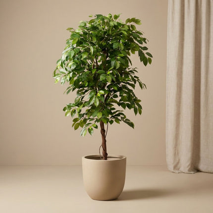 Ficus Deluxe Vine Tree 140 cm - Artificial Plant