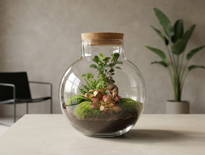 Bottle garden (Flaschengarten)