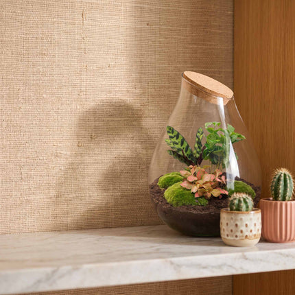 Drop XXL Red - Terrarium with cork - Bottle garden DIY kit - Ø 34 cm ↑ 43 cm