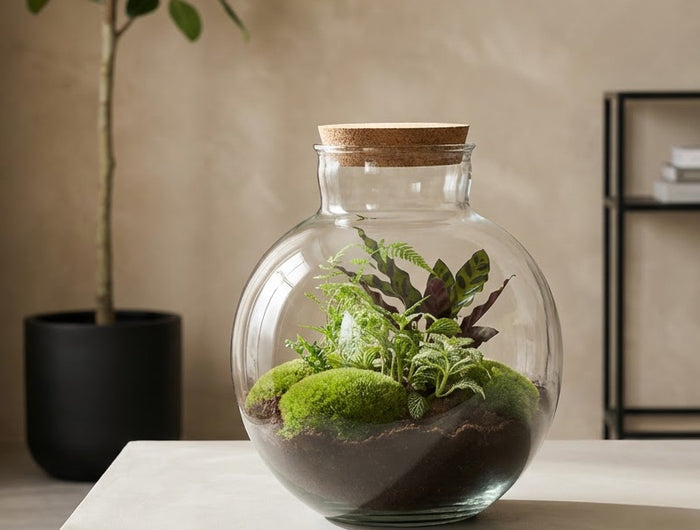 Bottle garden