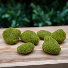 Moss