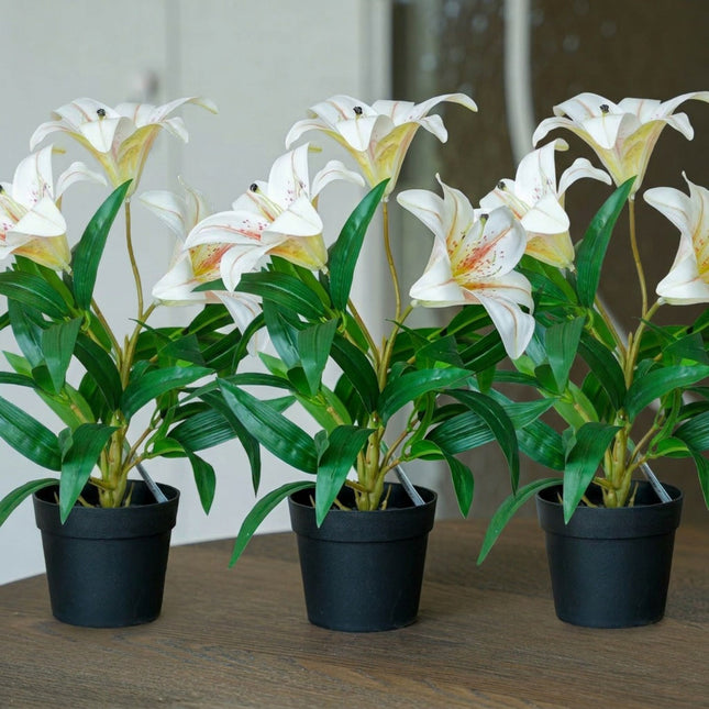 Lily cream 3 pcs - Artificial Plants - Bundle set