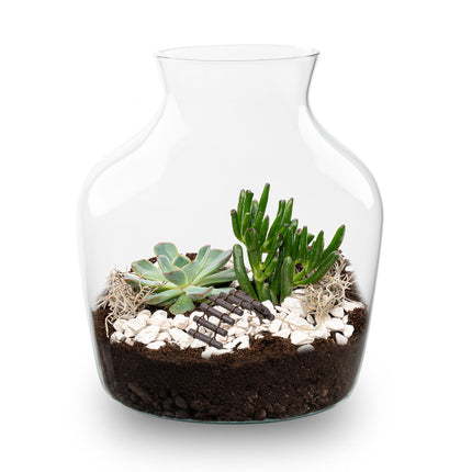 Little Joe Succulent - Open terrarium - Flessentuin DIY kit - Ø 20 cm ↑ 22 cm