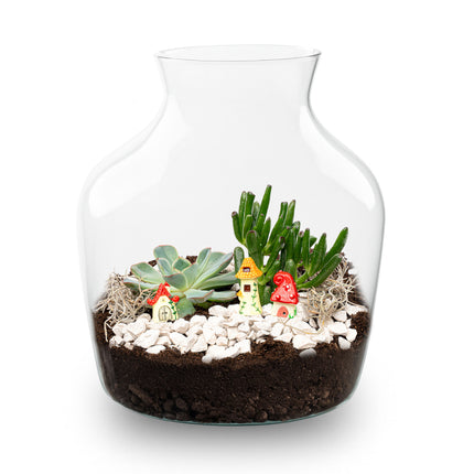 Little Joe Succulent - Open terrarium - Flessentuin DIY kit - Ø 20 cm ↑ 22 cm