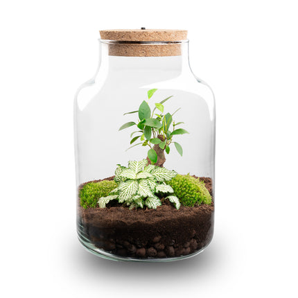 Little Milky - Bonsai - Terrarium with light - Bottle garden DIY kit - Ø 17 cm ↑ 25 cm