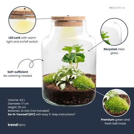 Little Milky - Flaschengarten mit Licht - Fittonia White Tiger + Coffea Arabica - Ø 17 cm ↑ 25 cm
