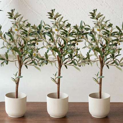 Mini Olive tree set - 3 pcs - Artificial Plants - Bundle set