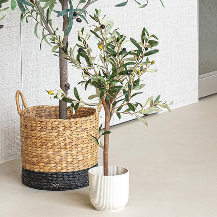 Mini Olive tree set - 3 pcs - Artificial Plants - Bundle set