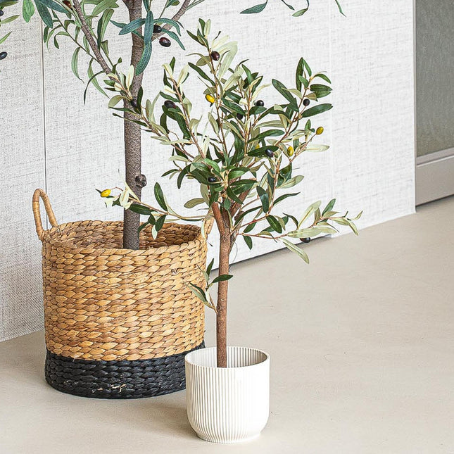 Mini Olive tree set - 3 pcs - Artificial Plants - Bundle set