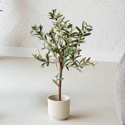 Mini Olive tree set - 3 pcs - Artificial Plants - Bundle set
