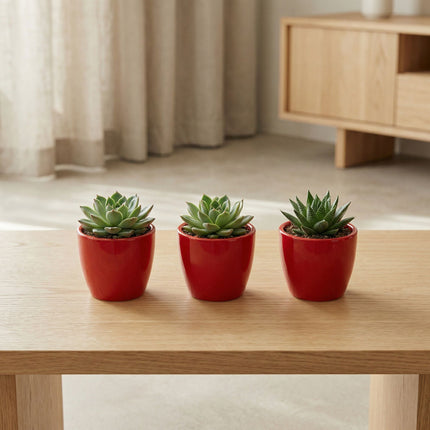 Love in Red - Mini Blumentopf - Boule Topf Rot - Ø 6 cm ↑ 6 cm