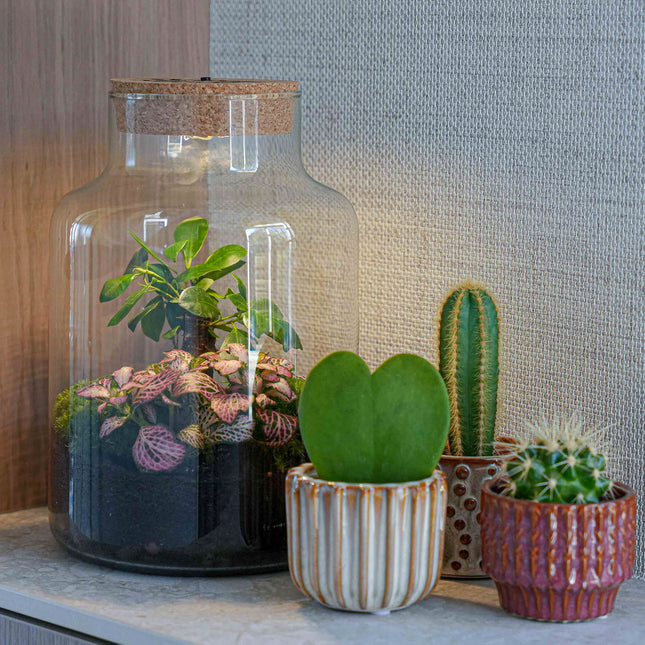 '♡' terrarium Little Milky + gegraveerde kurk met licht - Fles terrarium DIY kit - Ø 17 cm ↑ 25 cm - Moederdag & Valentijn-tip