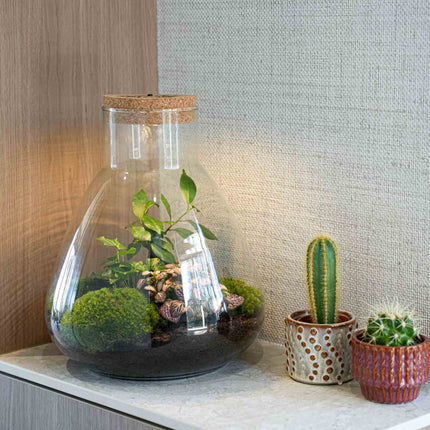 mom moeder gift plant terrarium