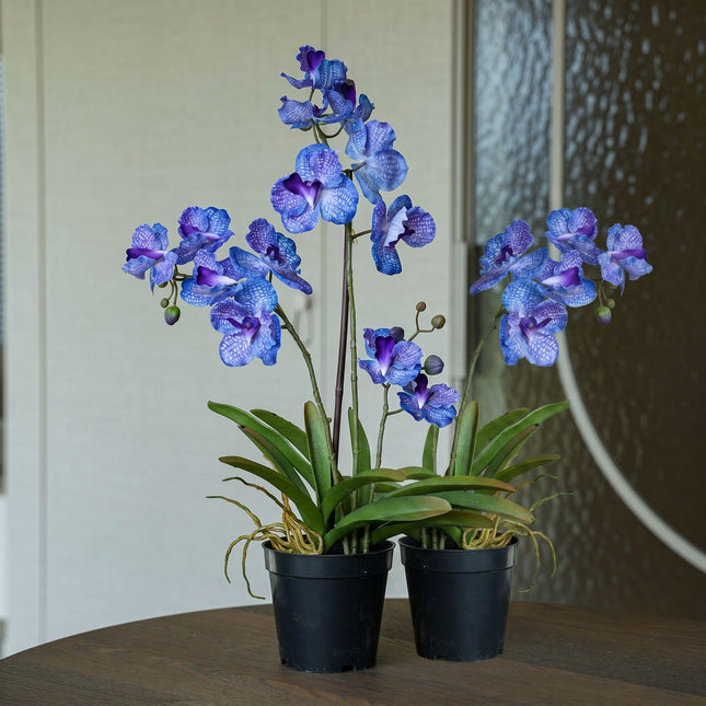 Orchidee Vanda paars 2 stuks -  Kunstplanten - Bundelset
