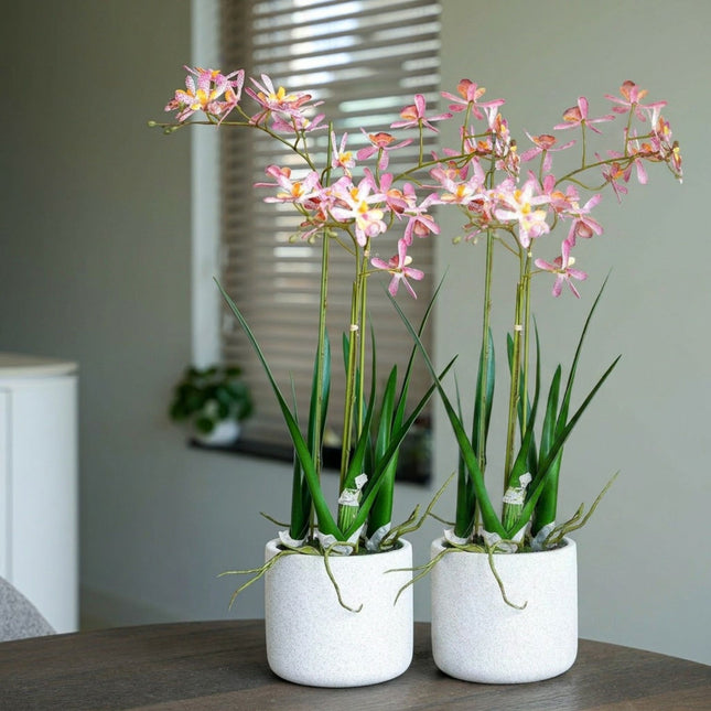 Renanthera orchidee roze 2 stuks -  Kunstplanten - Bundelset