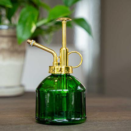 Brumisateur de plantes - Arrosoir - Vaporisateur en verre - Verre vert - ↑ 16 cm