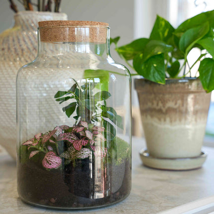Terrarium 'CŒUR' Little Milky + liège LED gravé ♡ - Kit DIY jardin en bouteille - ↑ 25 cm Ø 17 cm