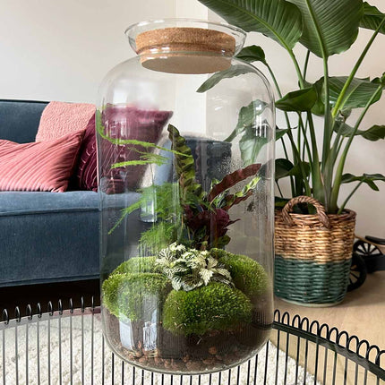 Sven XL Botanical - Terrarium with light - Bottle garden DIY kit - Ø 23 cm ↑ 43 cm