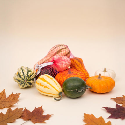 Decoratie Pompoenen Netje - Sierfruit - Set van 5 - Ø 9 cm