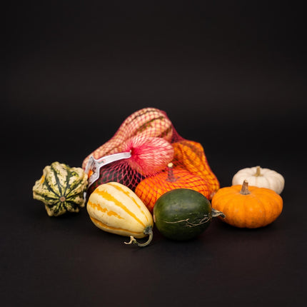 Decoratie Pompoenen Netje - Sierfruit - Set van 5 - Ø 9 cm