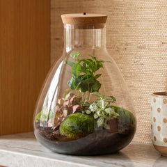 Terrariums only