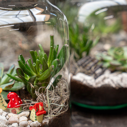 Little Joe Succulent - Open terrarium - Flessentuin DIY kit - Ø 20 cm ↑ 22 cm