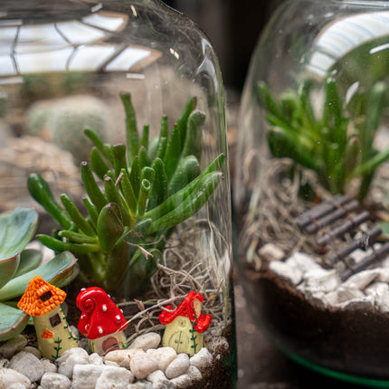 Egg XL succulente - Terrarium ouvert - Kit DIY ↑ 30 cm