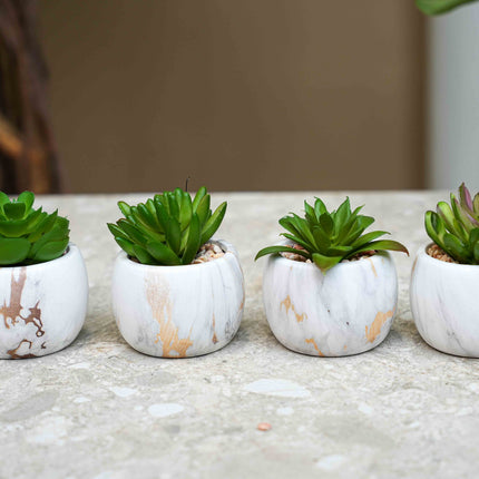 Artificial mini succulents mix in marble pot - Succulent mix set 4 - ↑ 10 cm