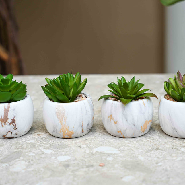 Artificial mini succulents mix in marble pot - Succulent mix set 4 - ↑ 10 cm