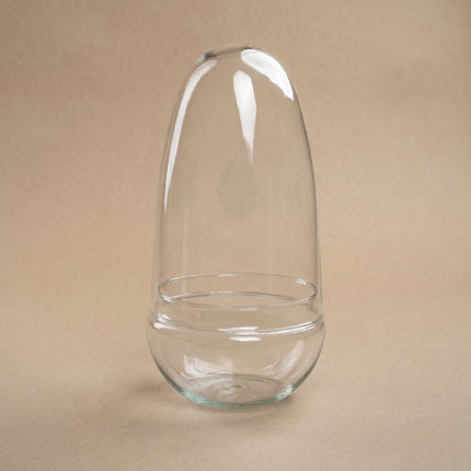 Terrarium bouteille 'Egg' en verre, dôme 2 parties ↑ 25 cm Ø 12 cm