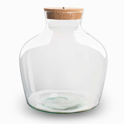Bouteille terrarium Fat Joe - Bouchon LED inclus - ↑ 30 cm Ø 29 cm