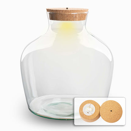Bouteille terrarium Fat Joe - Bouchon LED inclus - ↑ 30 cm Ø 29 cm