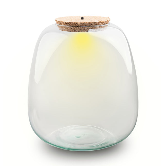 Terrarium bottle ‘Emma' - Incl. LED cork - Closed terrarium Ø 23 cm ↑ 25 cm