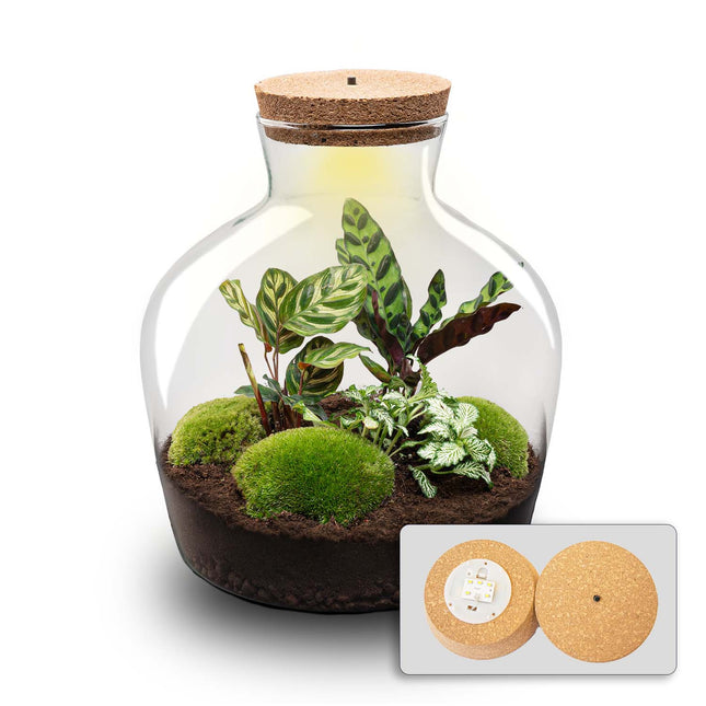 Grosse flaschengarten set kaufen
