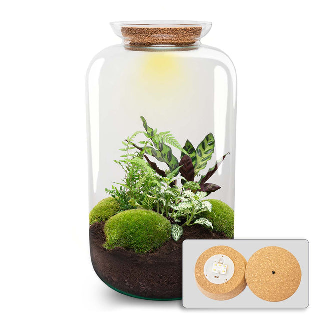 Sven XL Botanical - Terrarium with light - Bottle garden DIY kit - Ø 23 cm ↑ 43 cm