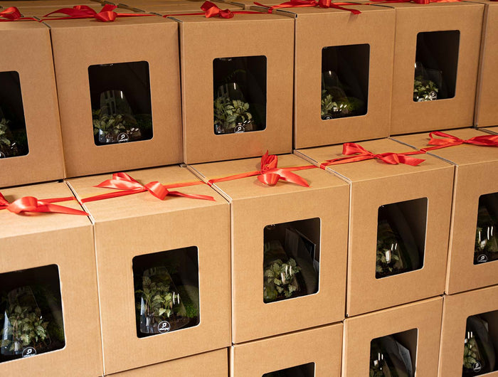 Christmas gifts