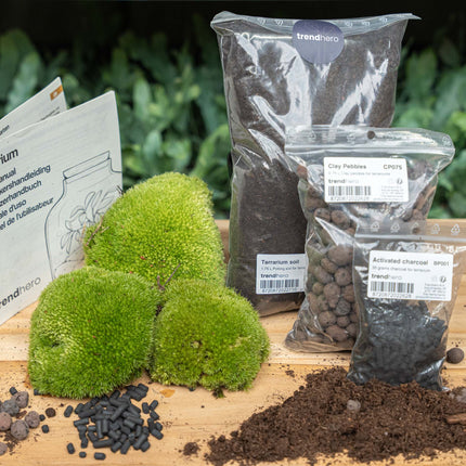 Pflanzenterrarium – Nachfüllset – Starterset – DIY – Größe L/XL
