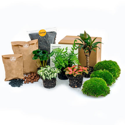 Terrarium kit - Flaschengarten set 
