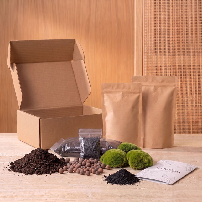 Terrarium Package  – Refill & Starter Package  – DIY Terrarium Kit – Size L/XL
