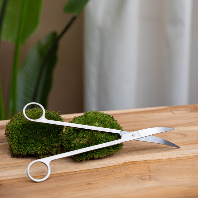 Scissors long 