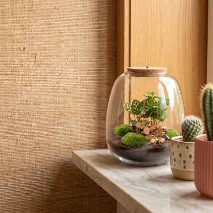 Emma - Coffea Red - Flaschengarten mit Licht - DIY Terrarium mit Pflanzen im Glas - Ø 23 cm ↑ 25 cm