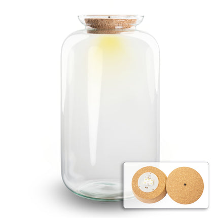 Bouteille terrarium 'Sven XL' avec bouchon LED - ↑ 43 cm Ø 23 cm