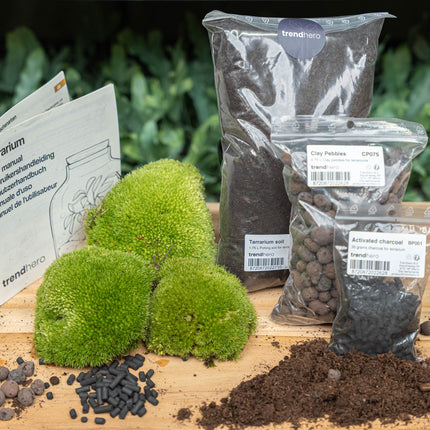 Pflanzenterrarium – Nachfüllset – Starterset – DIY – Größe L/XL

