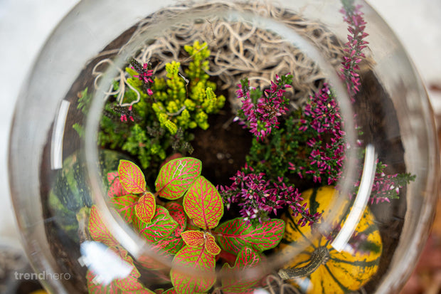 Decorate with natural elements